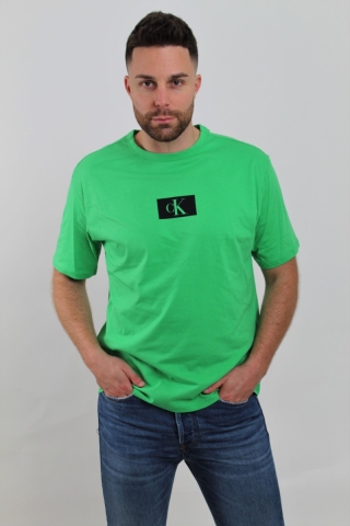 T-Shirt in jersey di cotone bio Calvin Klein 000NM2399E LGP